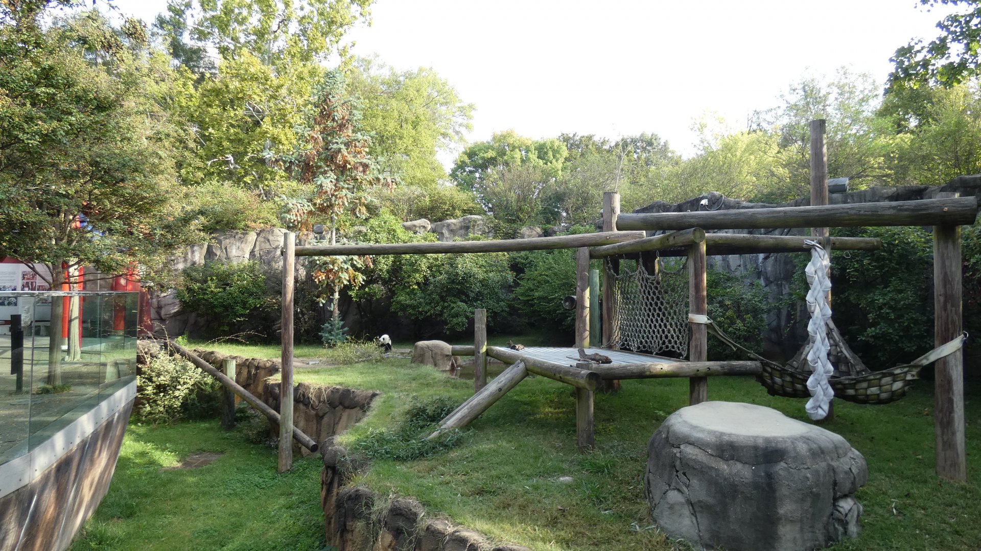 Outdoor Panda Habitat, China - Sep. 2021
