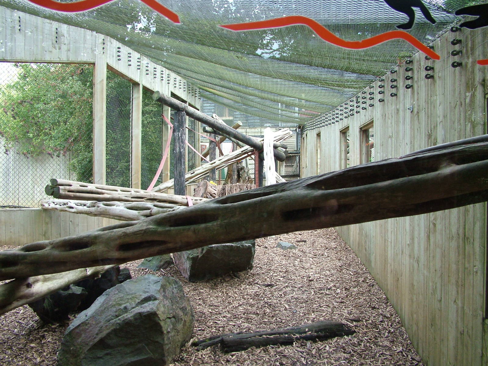 Outdoor Patas Monkey exhibit at Colchester, 28/08/10