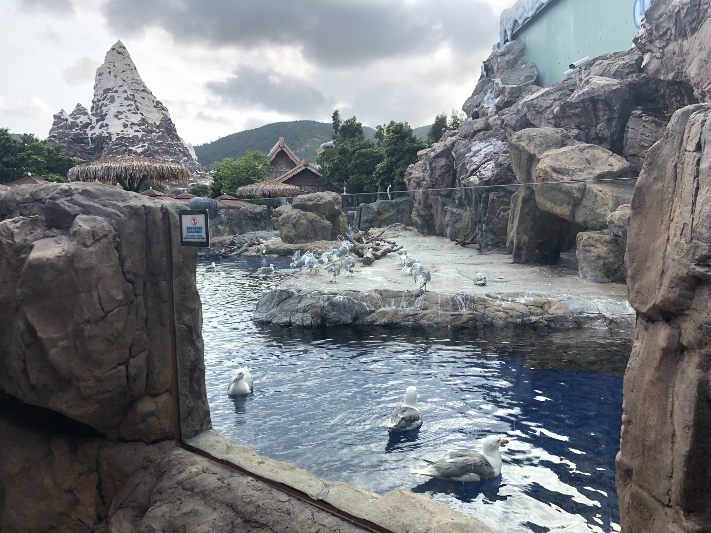 Outdoor Penguin Exhibit