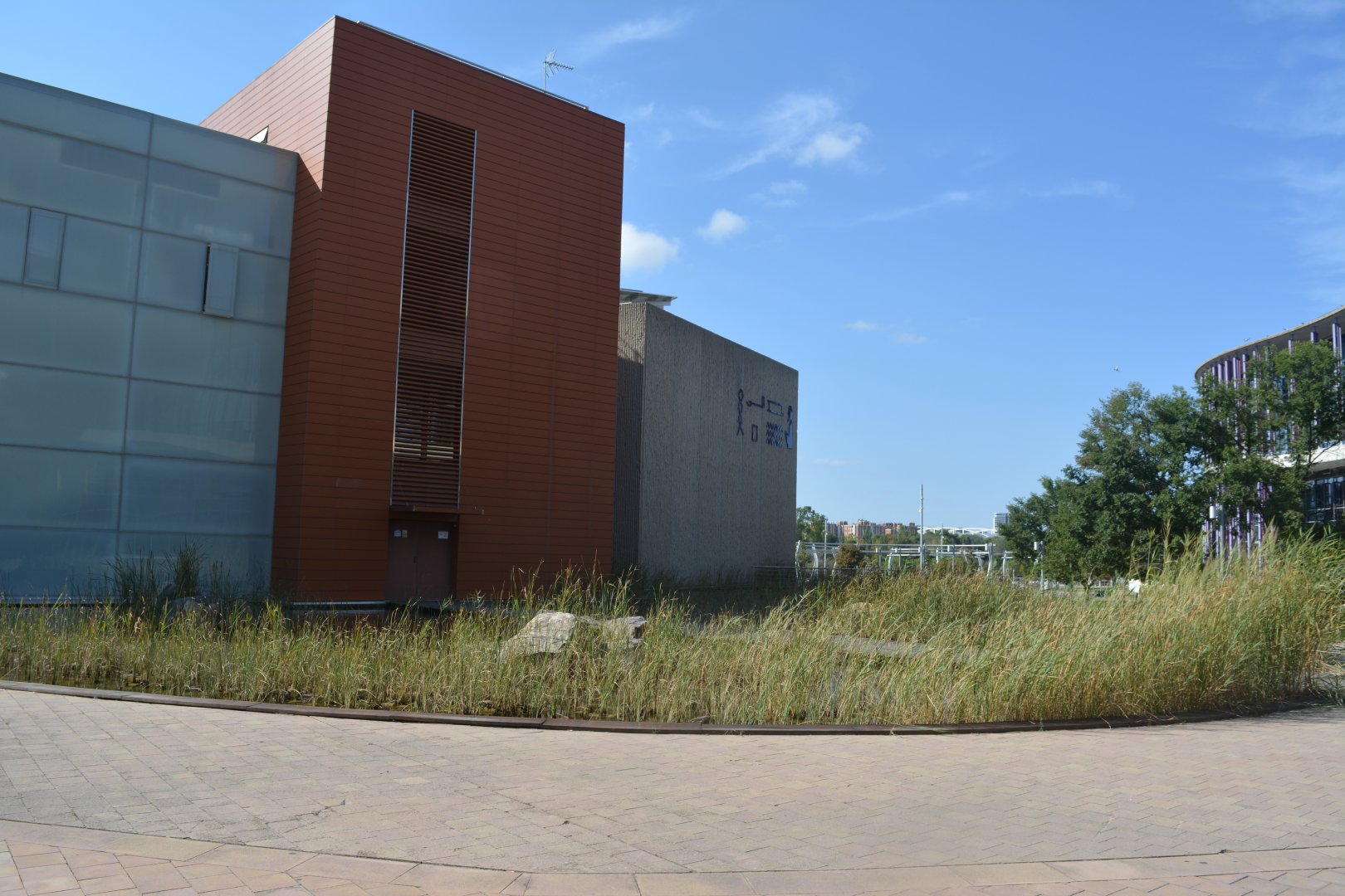 Outdoor ponds and place of the future expansion