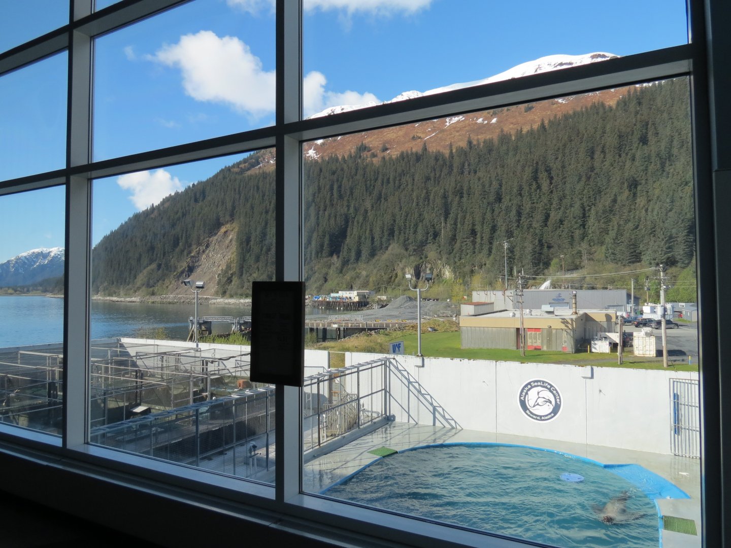 Outdoor Pool Overlook - Rehab and Study Pools