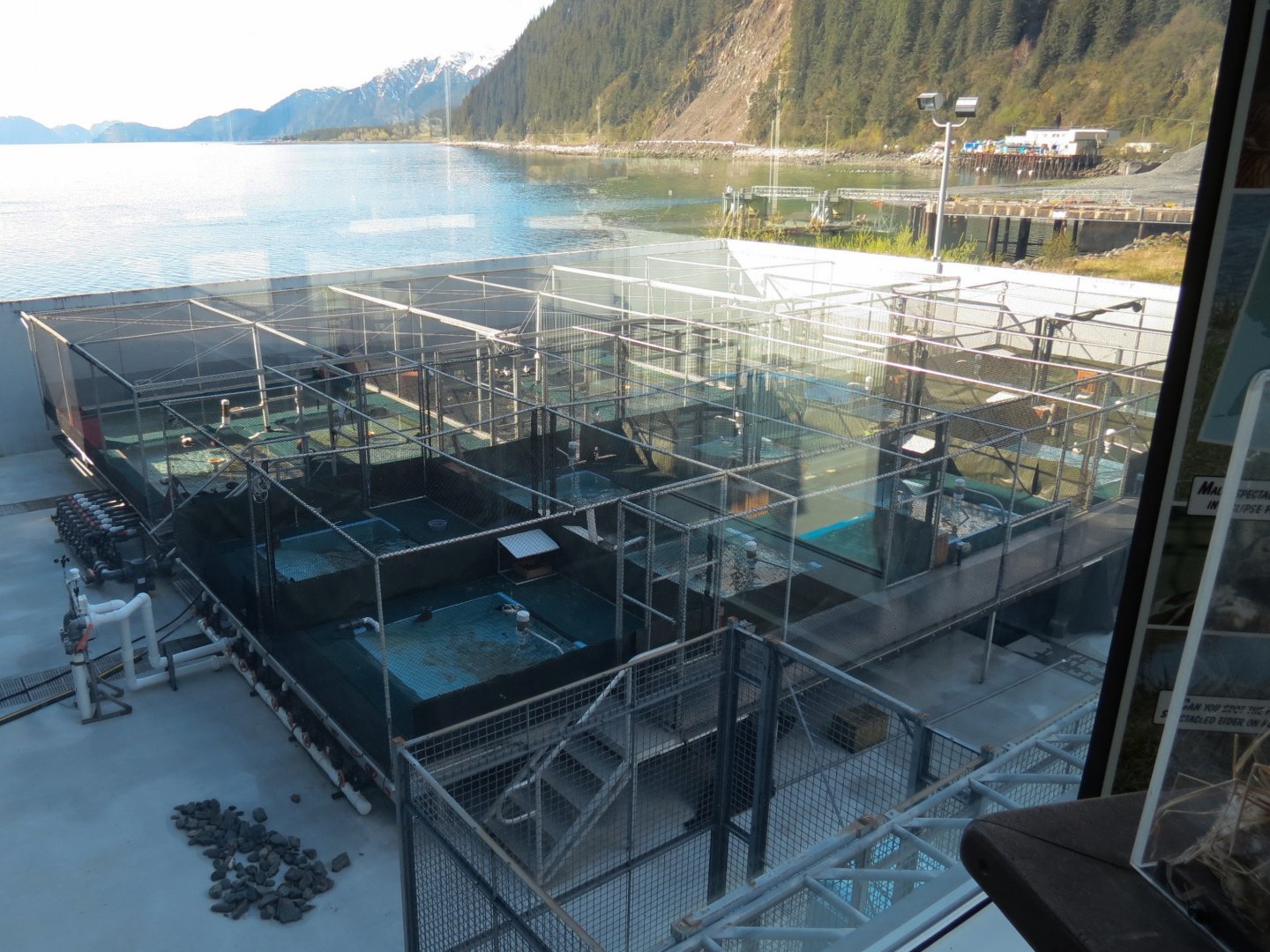 Outdoor Pool Overlook -Rehab and Study Pools