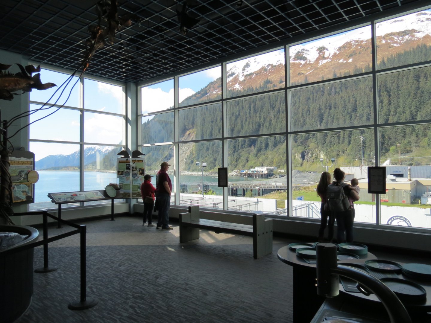 Outdoor Pool Overlook