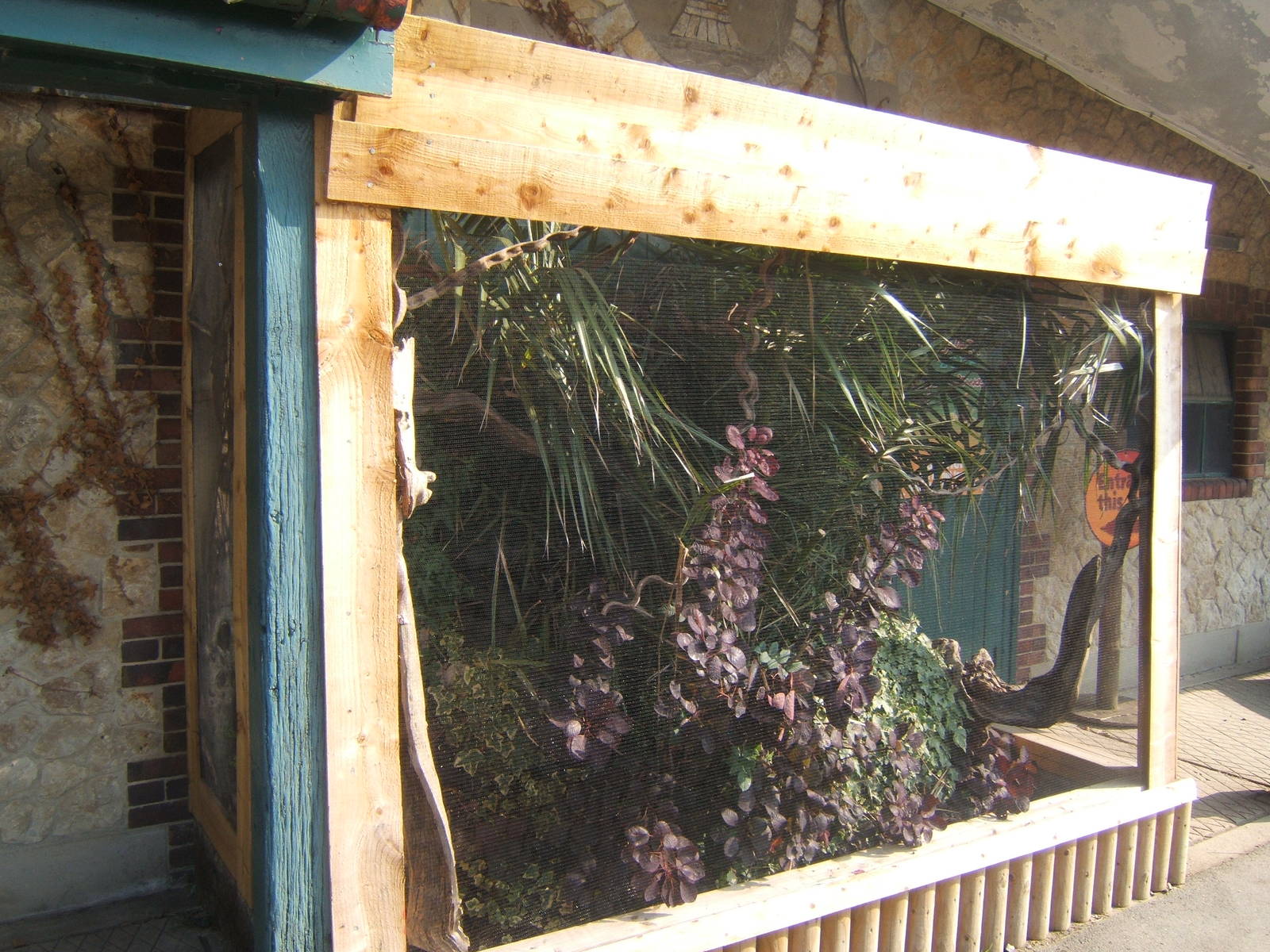 Outdoor Pygmy Marmoset enclosure