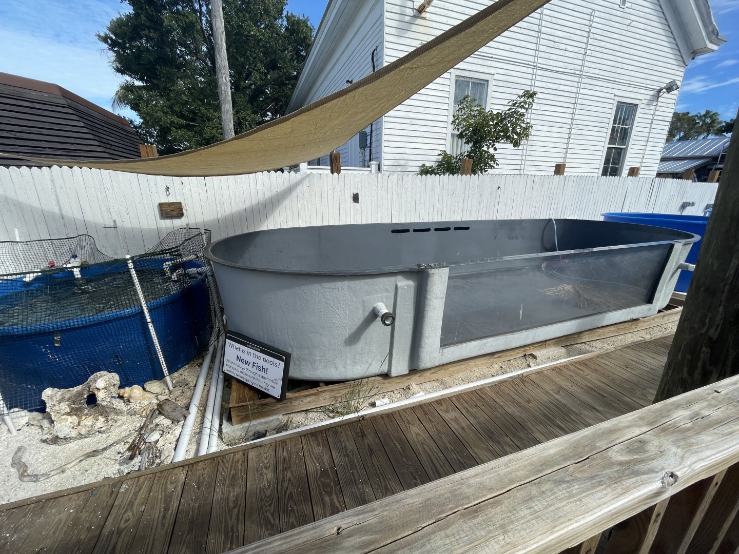 Outdoor quarantine exhibits (1/2/24)