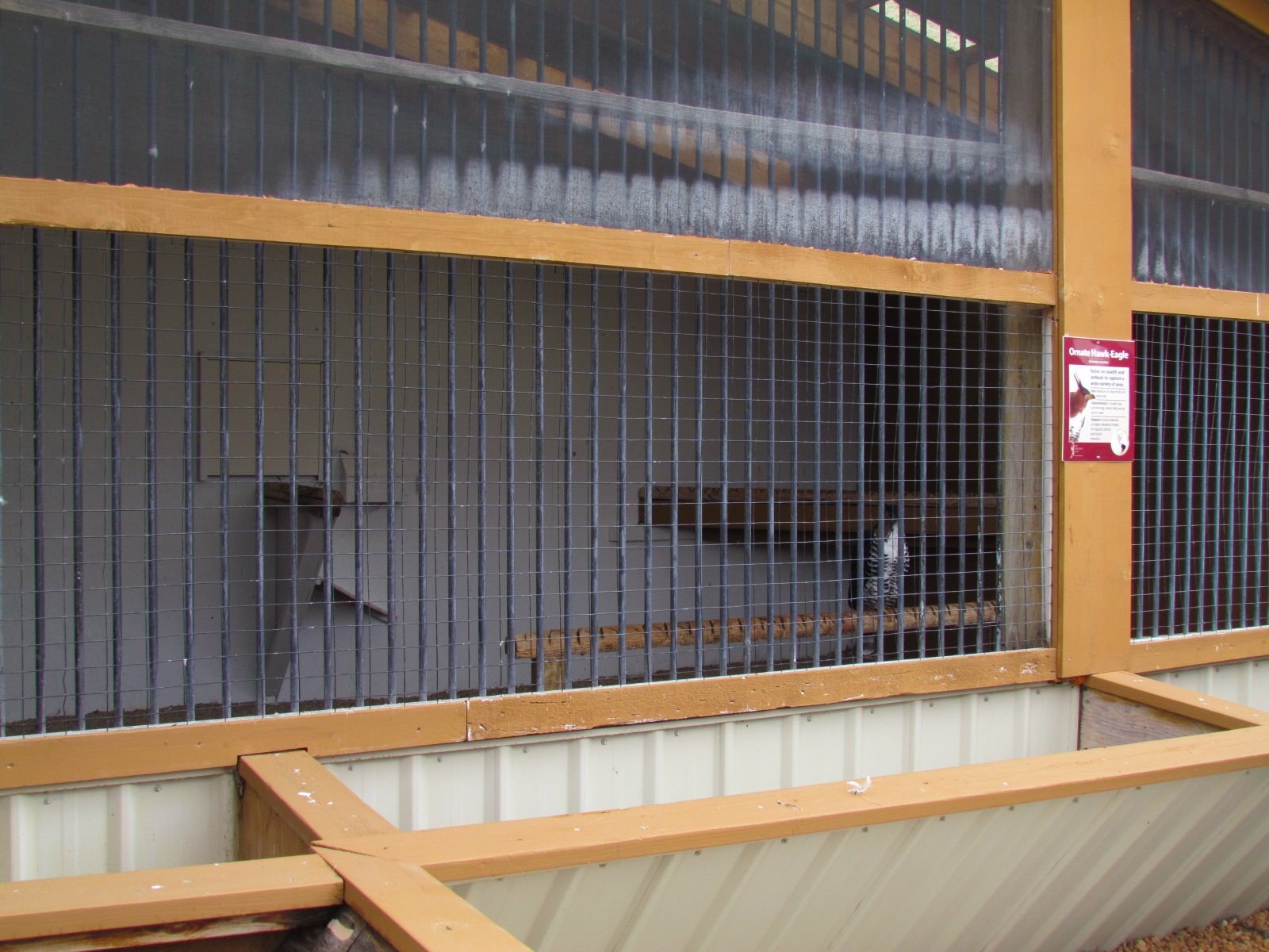 Outdoor Raptor Mews - Ornate Hawk-Eagle