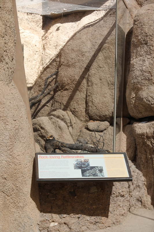 outdoor rattlesnake exhibit