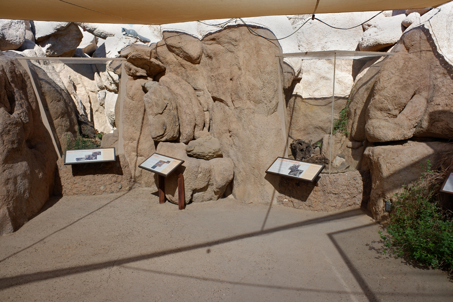 outdoor rattlesnake exhibits