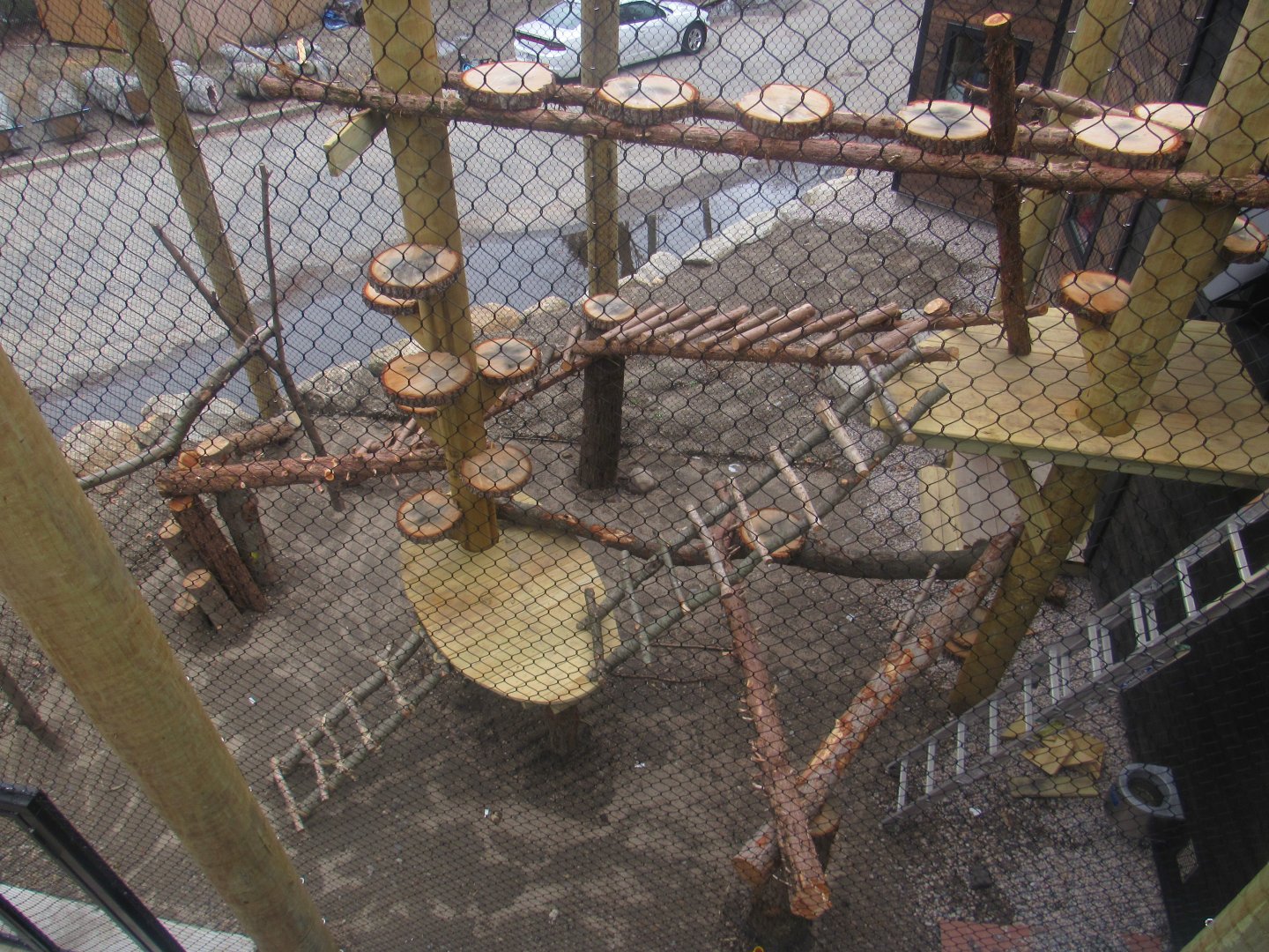 outdoor red panda enclosure