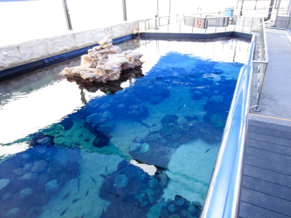 Outdoor Reef enclsoure