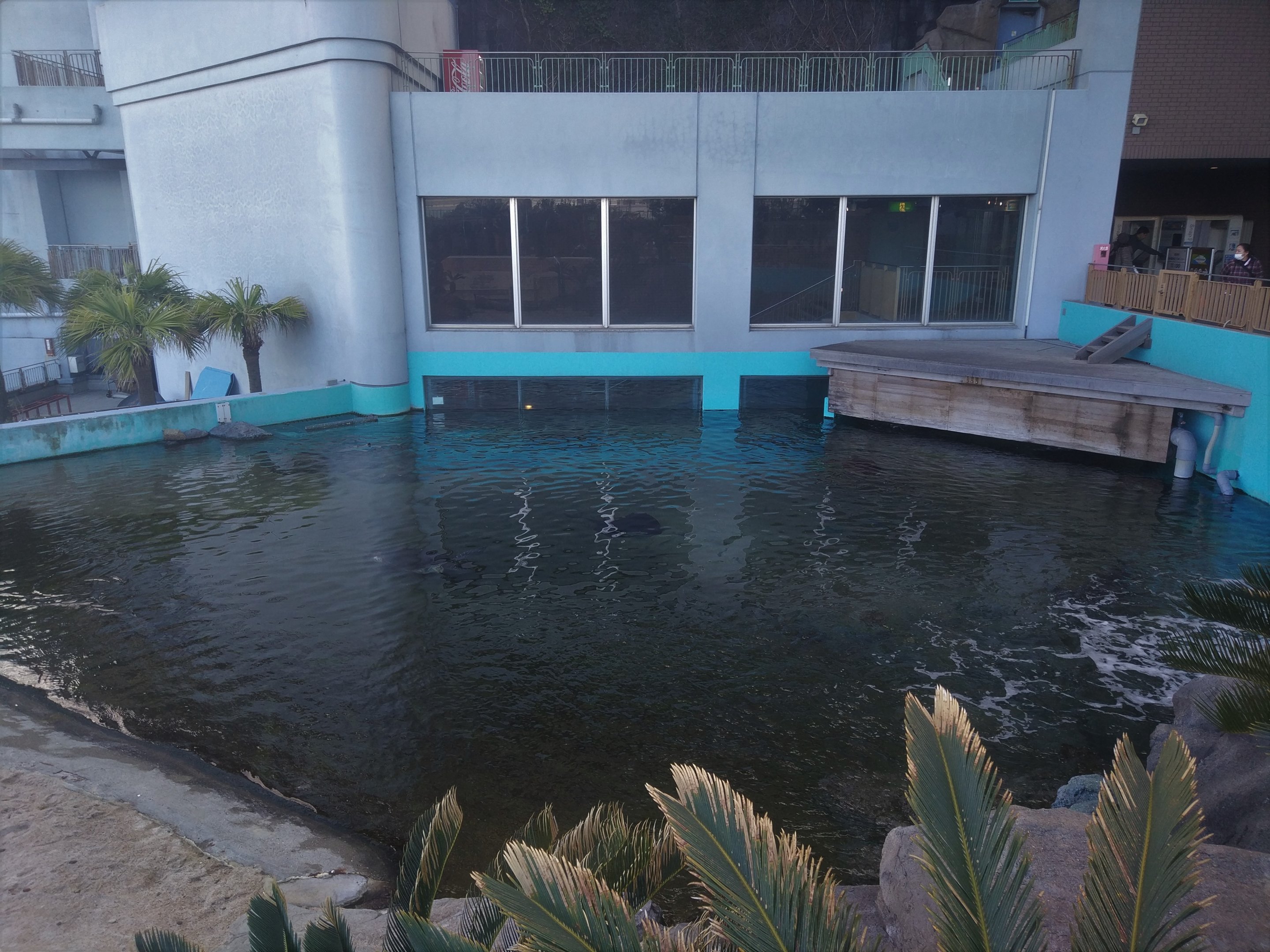 Outdoor Reef/Shore Tank