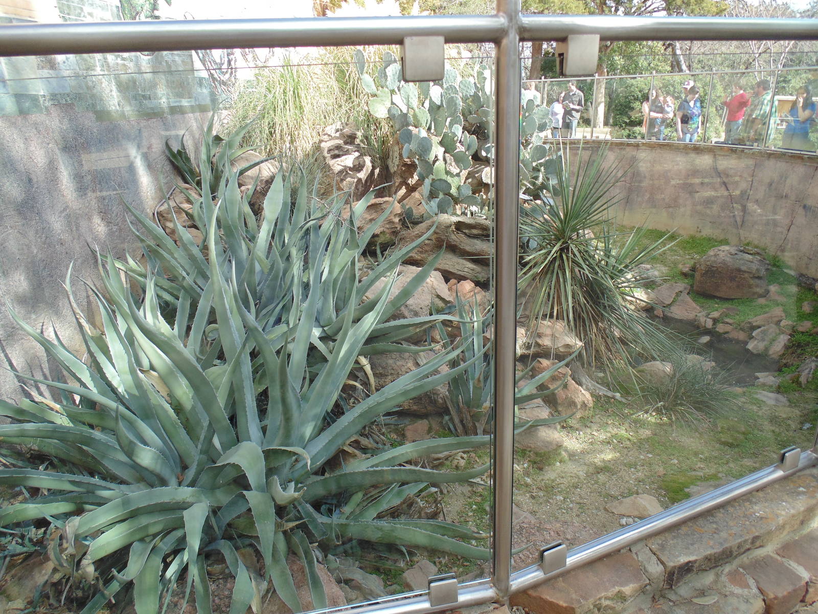 Outdoor Reptile Exhibit chuckwalla,tortoise,lizard