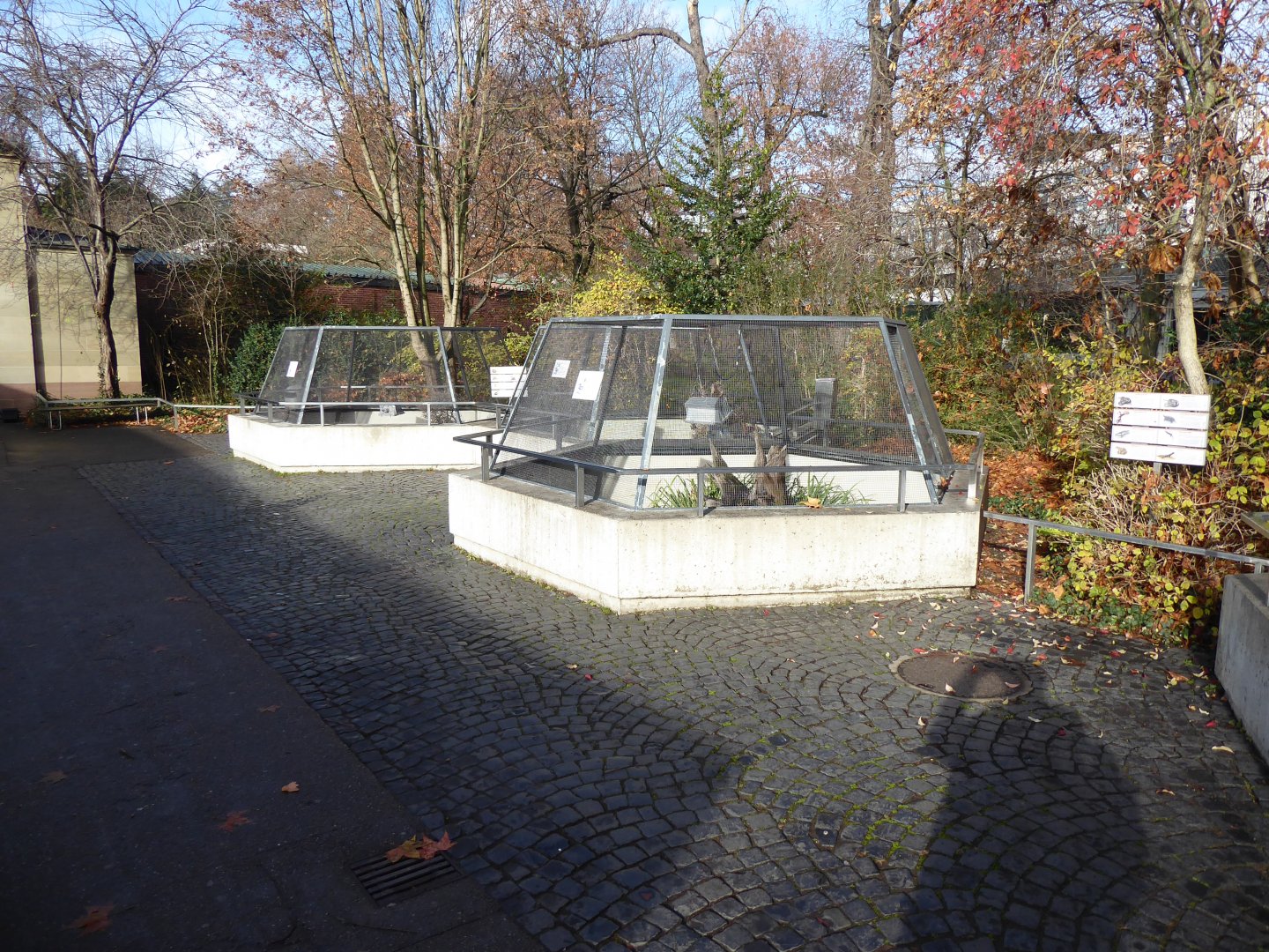 Outdoor reptile terraria 011218