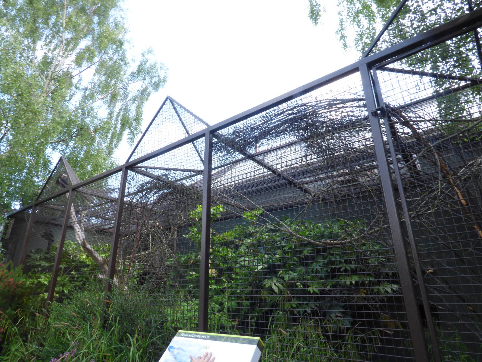 Outdoor Saki Monkey Enclosure