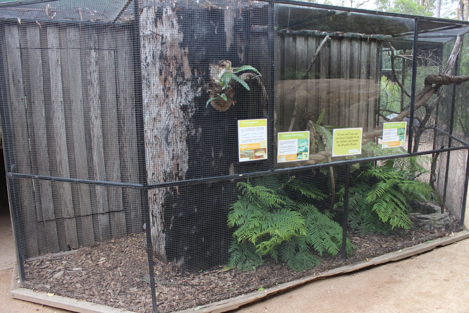 Outdoor Scrub Python Enclosure