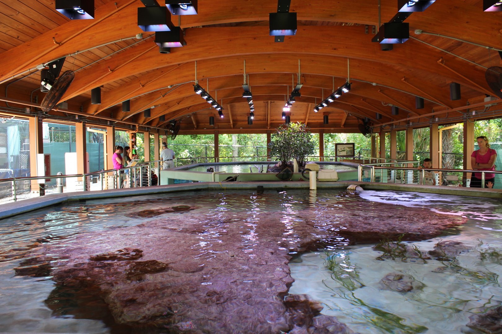 Outdoor Sea Turtle and Fish Tanks