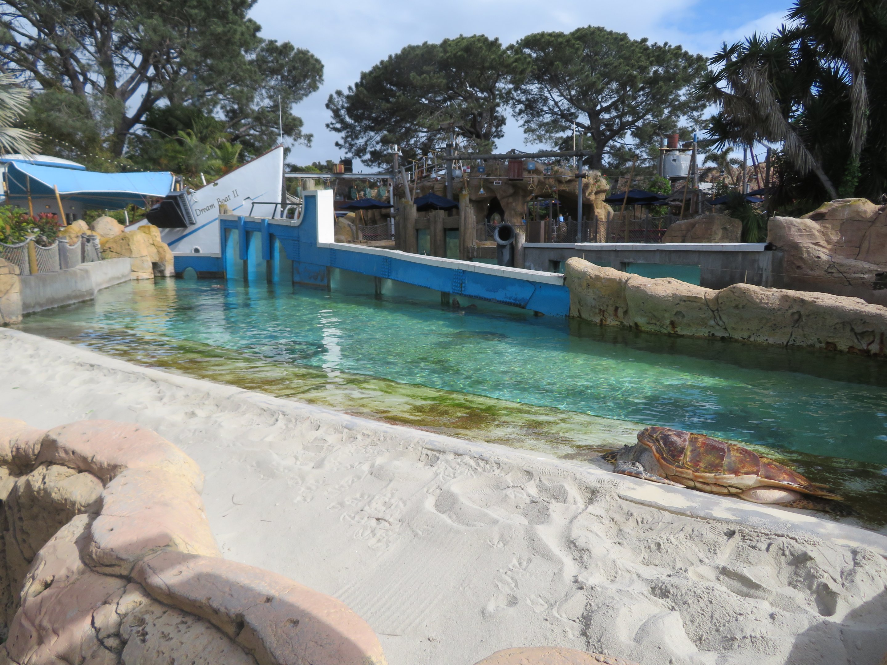 Outdoor Sea Turtle Exhibits