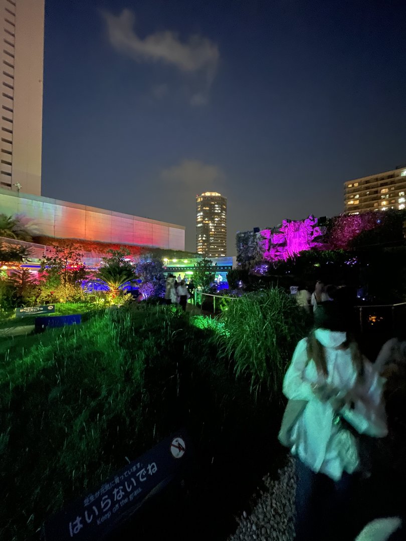 Outdoor section at night