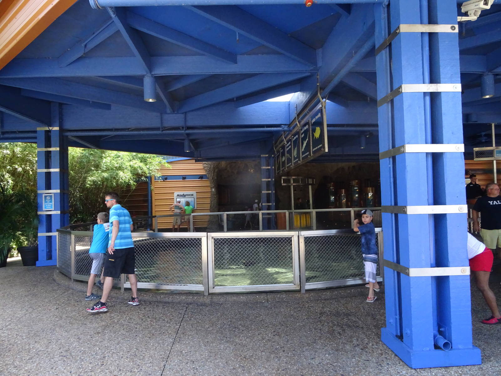 Outdoor Shark Exhibit at SeaWorld Orlando
