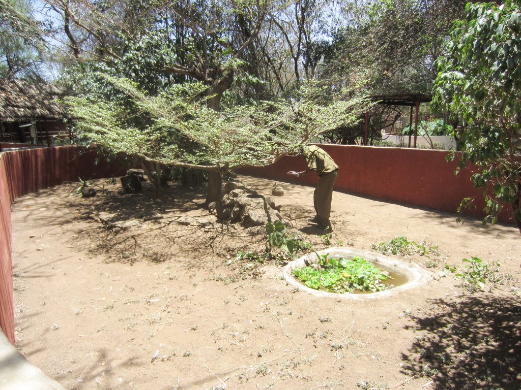 Outdoor snake enclosure