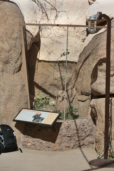 outdoor snake exhibit