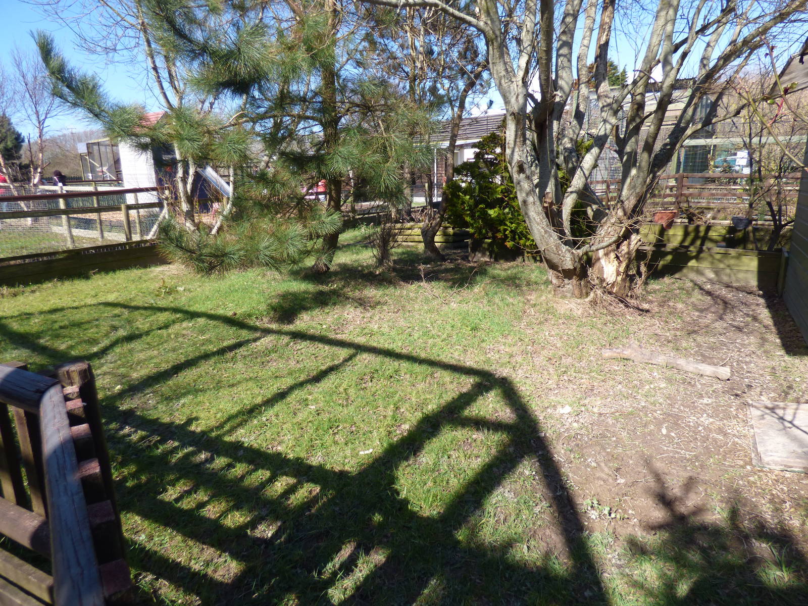 Outdoor Spurred Tortoise Enclosure