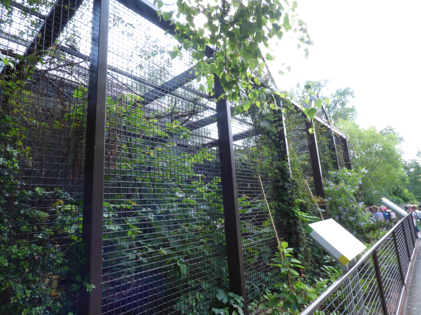 Outdoor Squirrel Monkey Enclosure