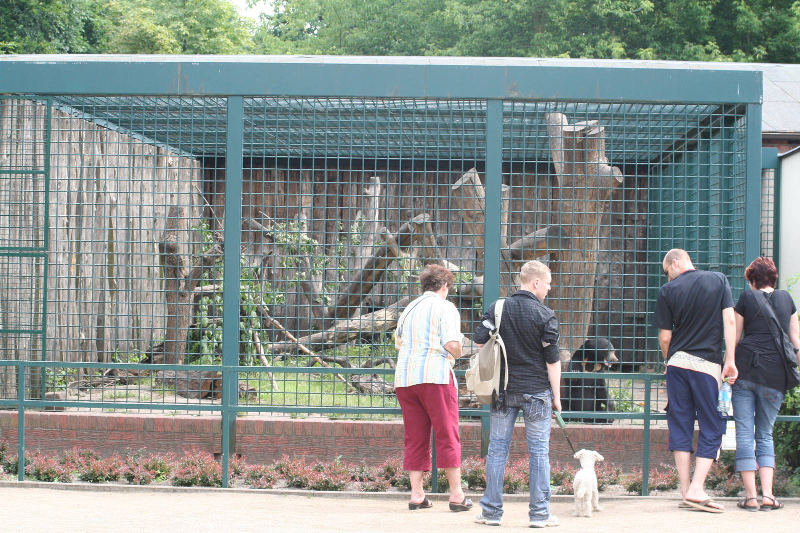 Outdoor sunbear enclosure Berlin tierpark 08