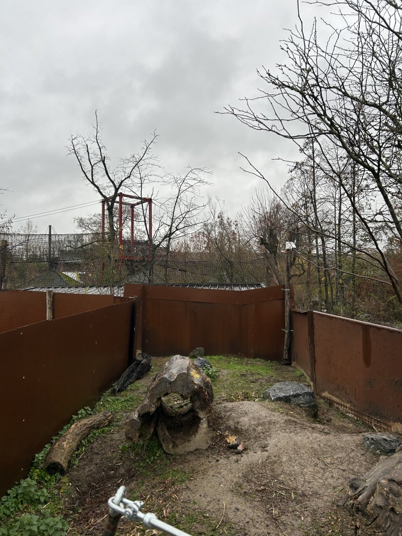 Outdoor Tasmanian wombat exhibit