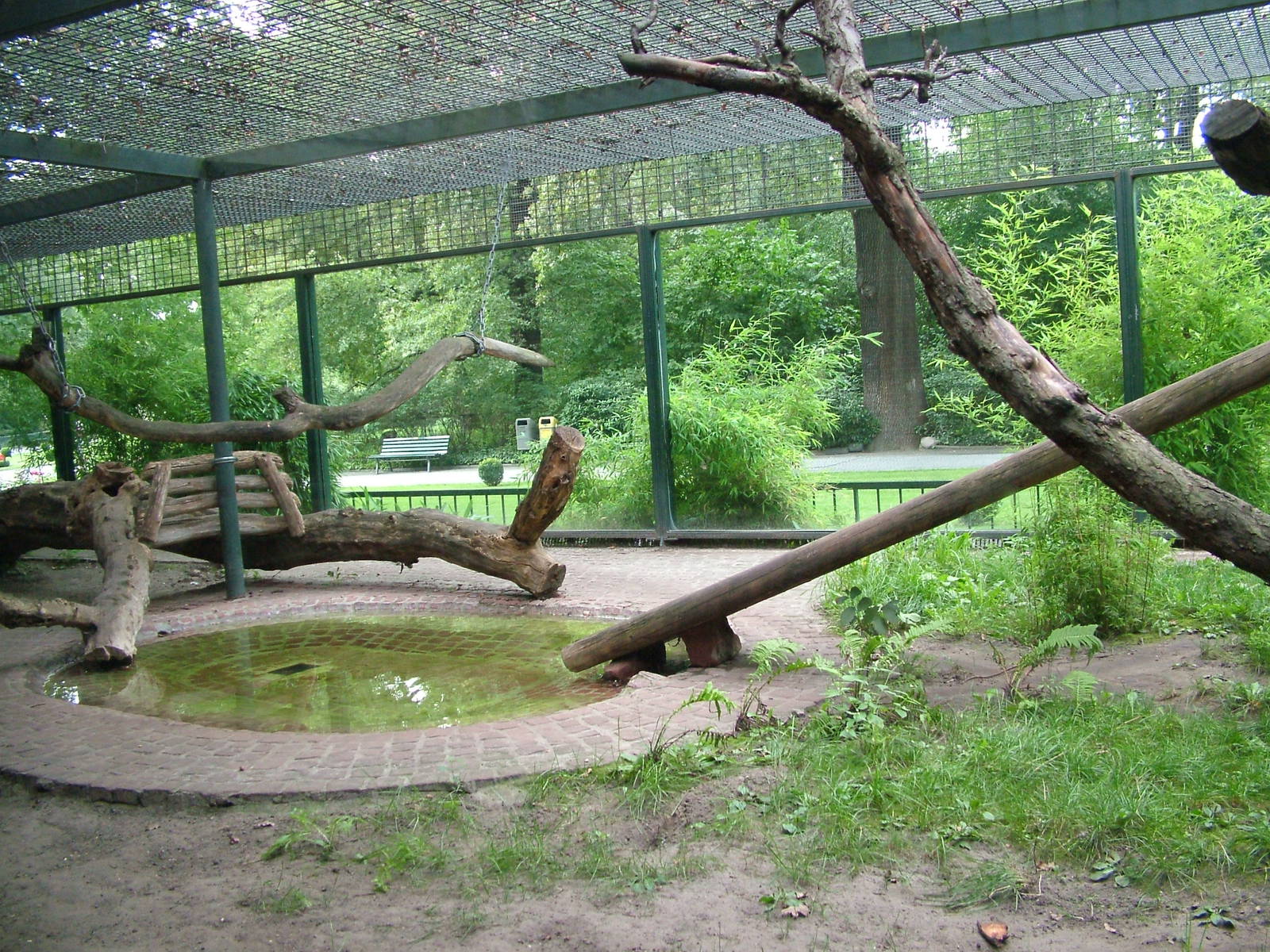 Outdoor Tayra Exhibit at Berlin Zoo, 31/08/11