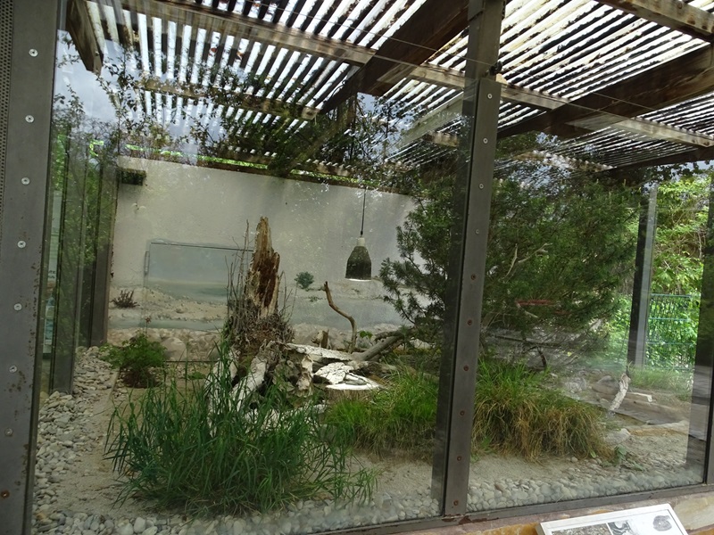 Outdoor terrarium for dice snake