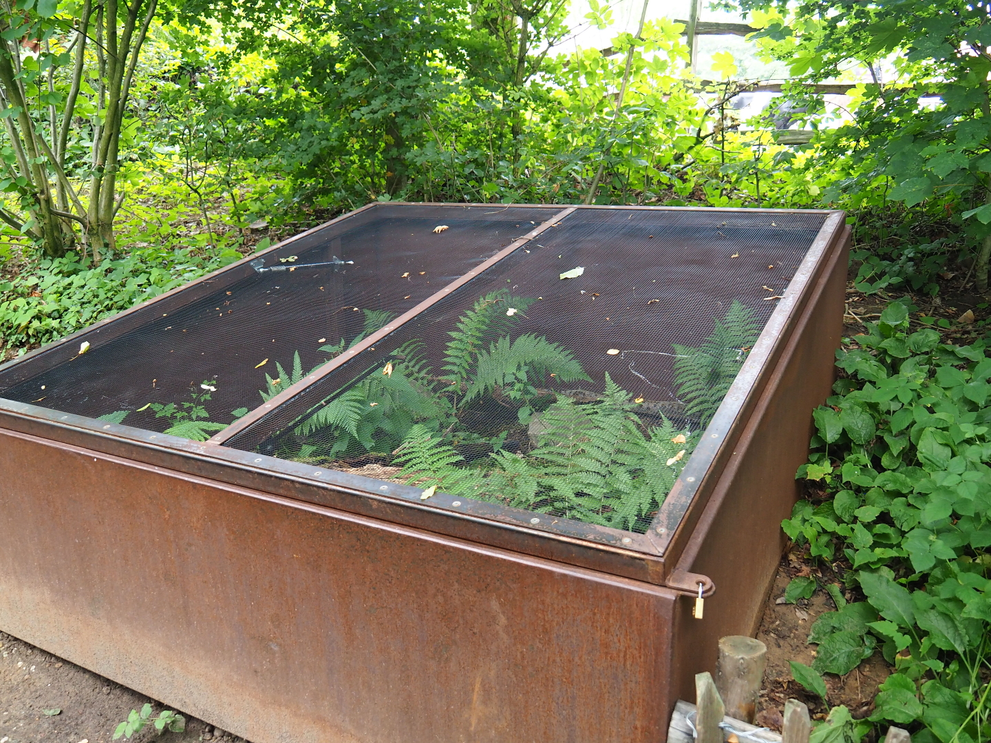 Outdoor terrarium for fire salamanders, 2019-07-21