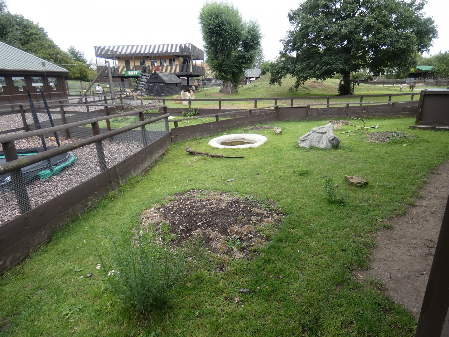 Outdoor Tortoise enclosure