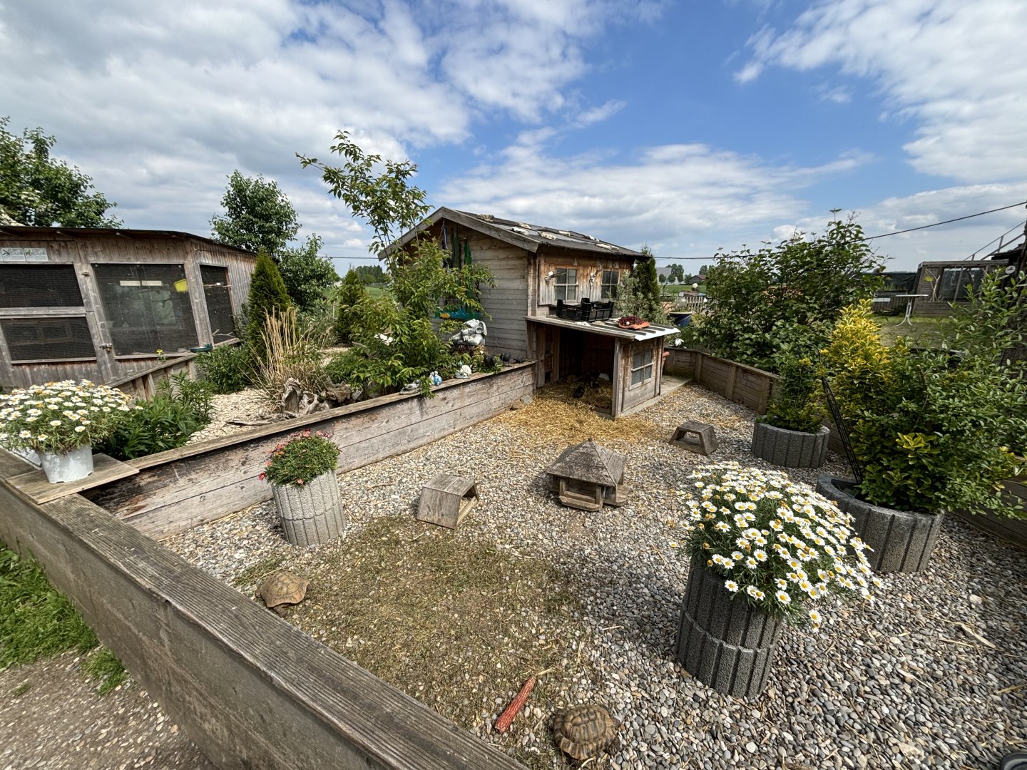 Outdoor Tortoise Enclosures and Budgie Aviary at Schildkröten und Reptilien Zoo Neu-Ulm