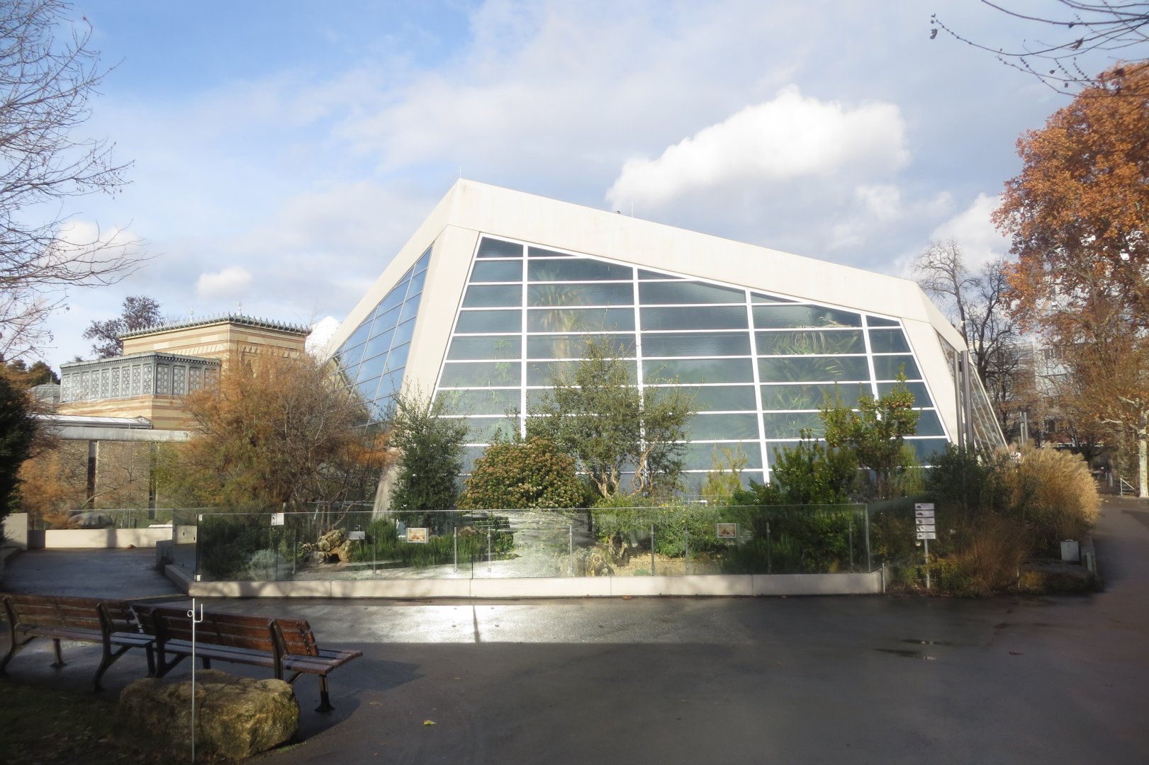 Outdoor tortoise exhibit 011218