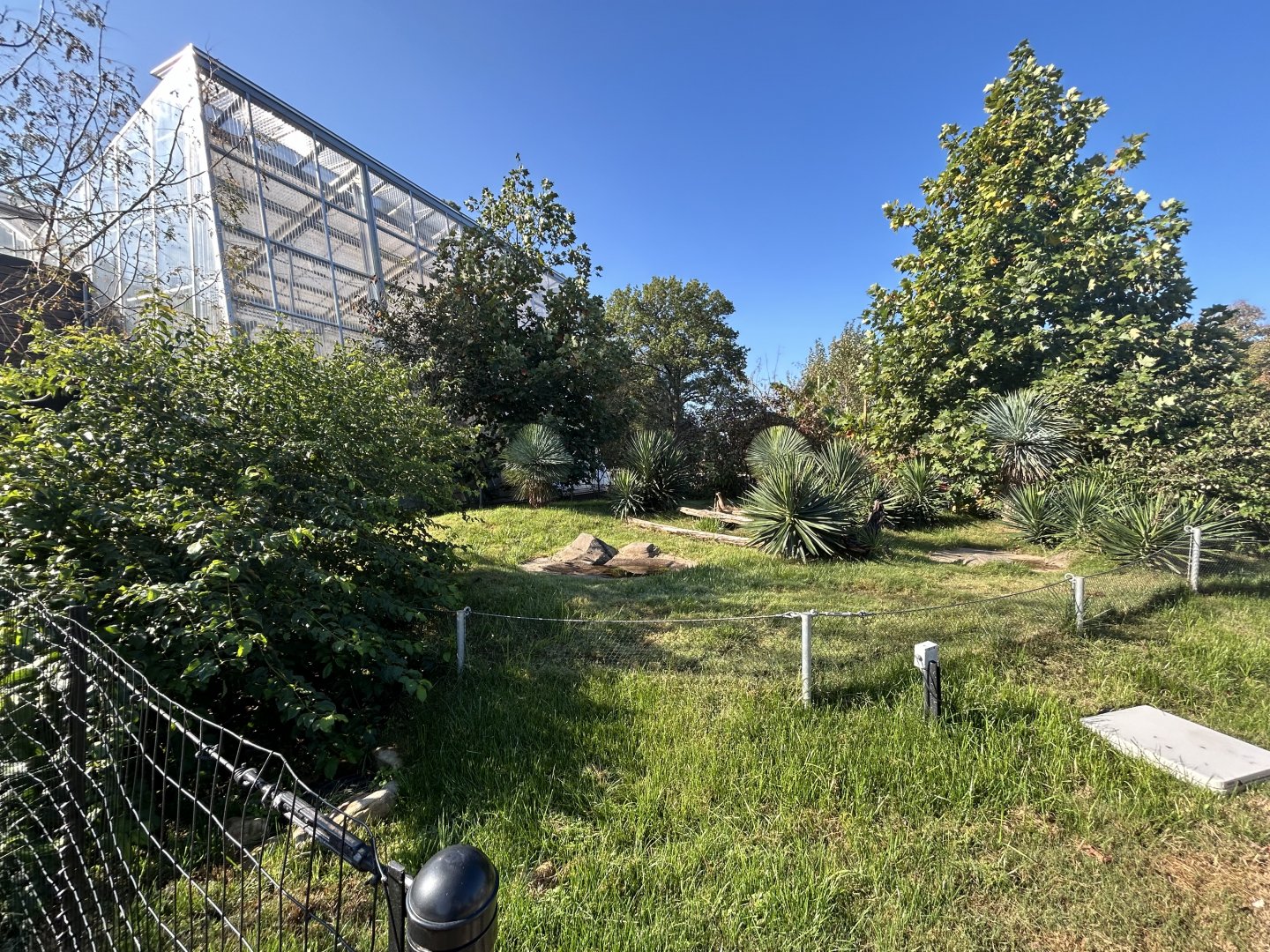 Outdoor Tortoise Exhibit (one of several) - ARC