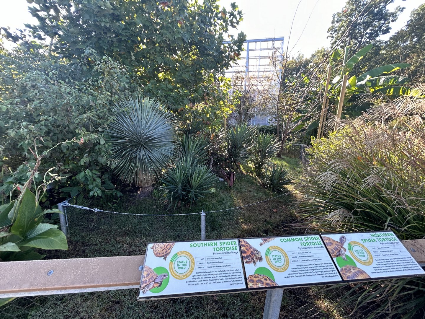 Outdoor Tortoise Exhibit (one of several) - ARC