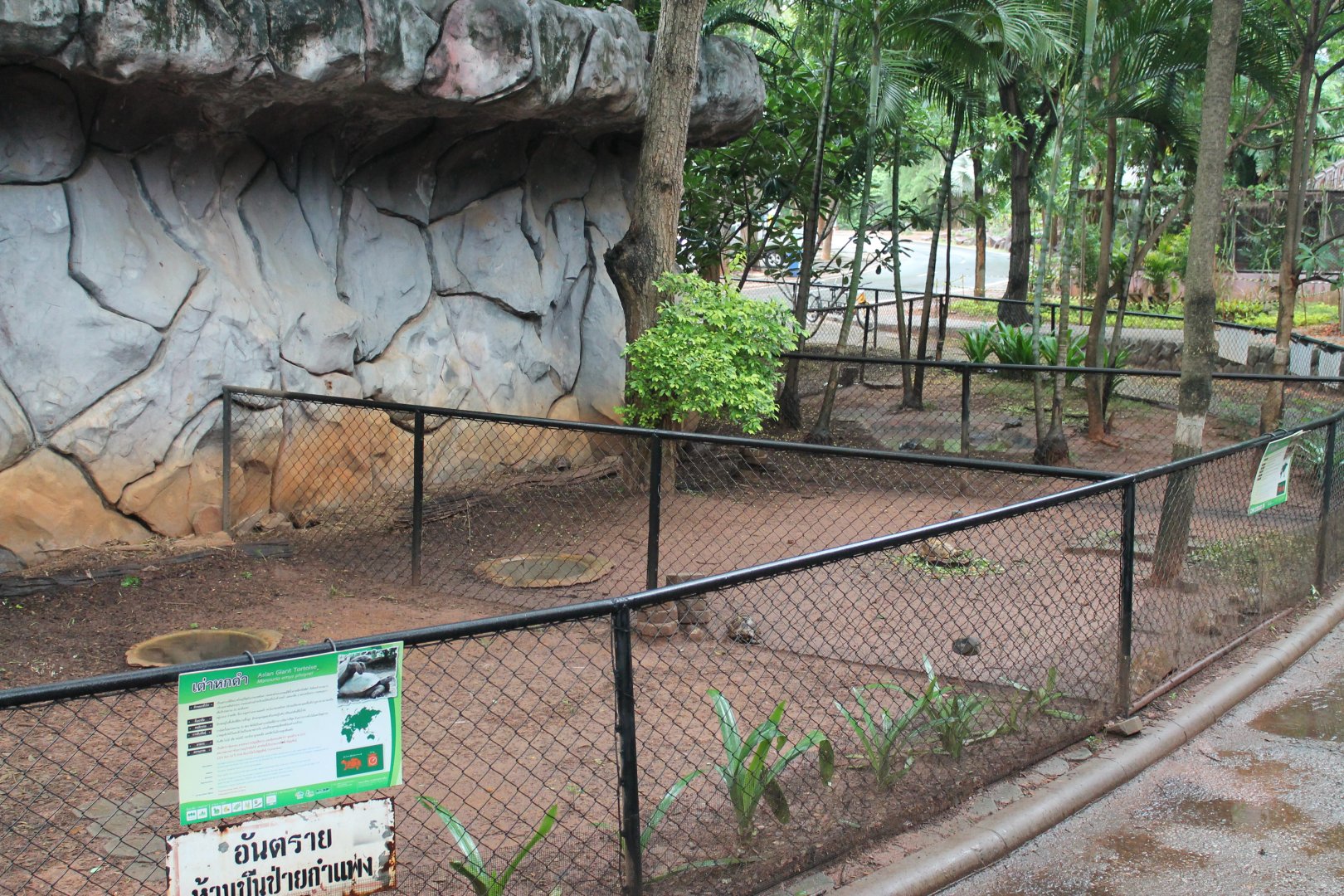 outdoor tortoise pens