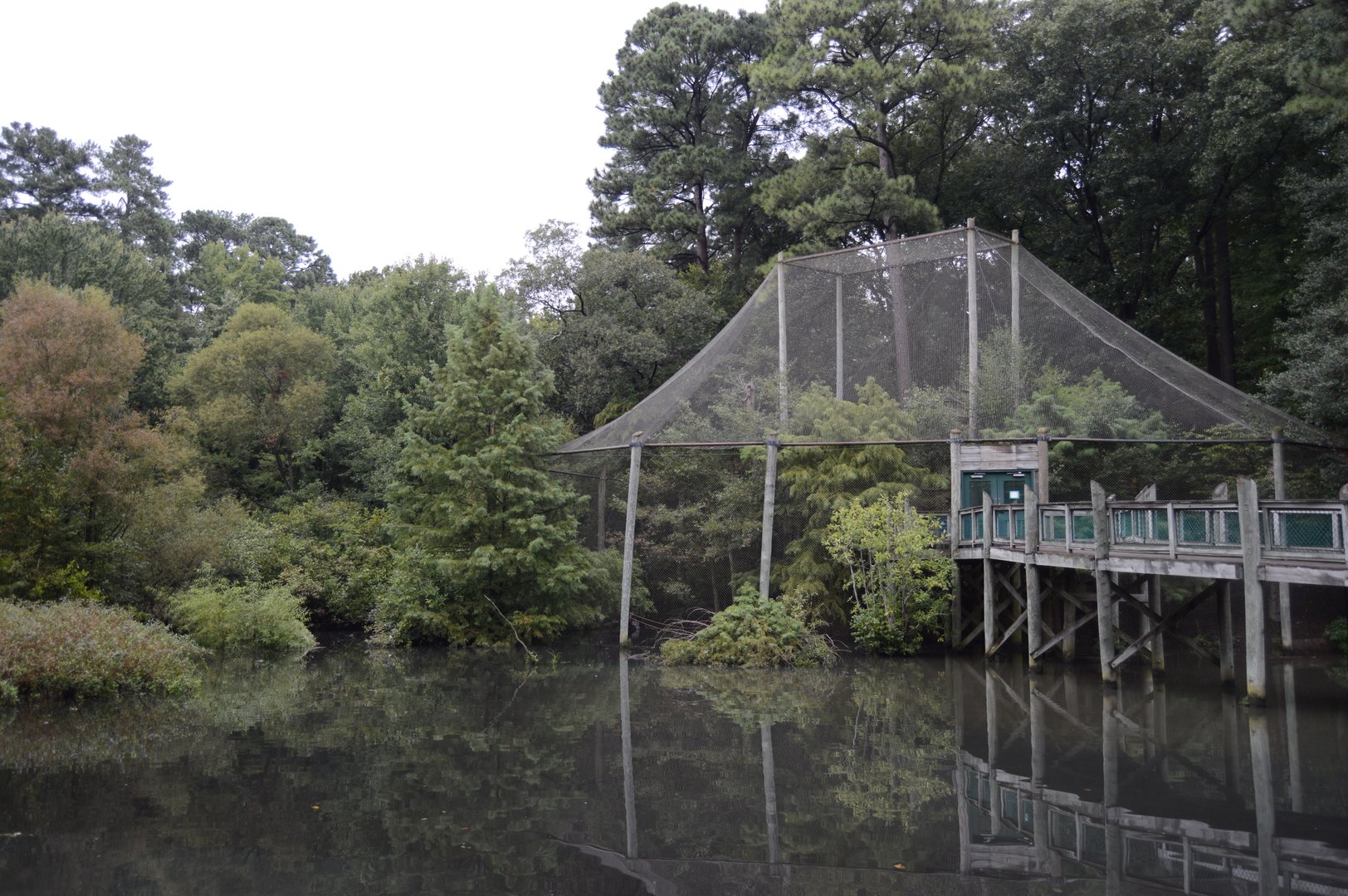 Outdoor Trail - Coastal Plain Aviary and Landscape
