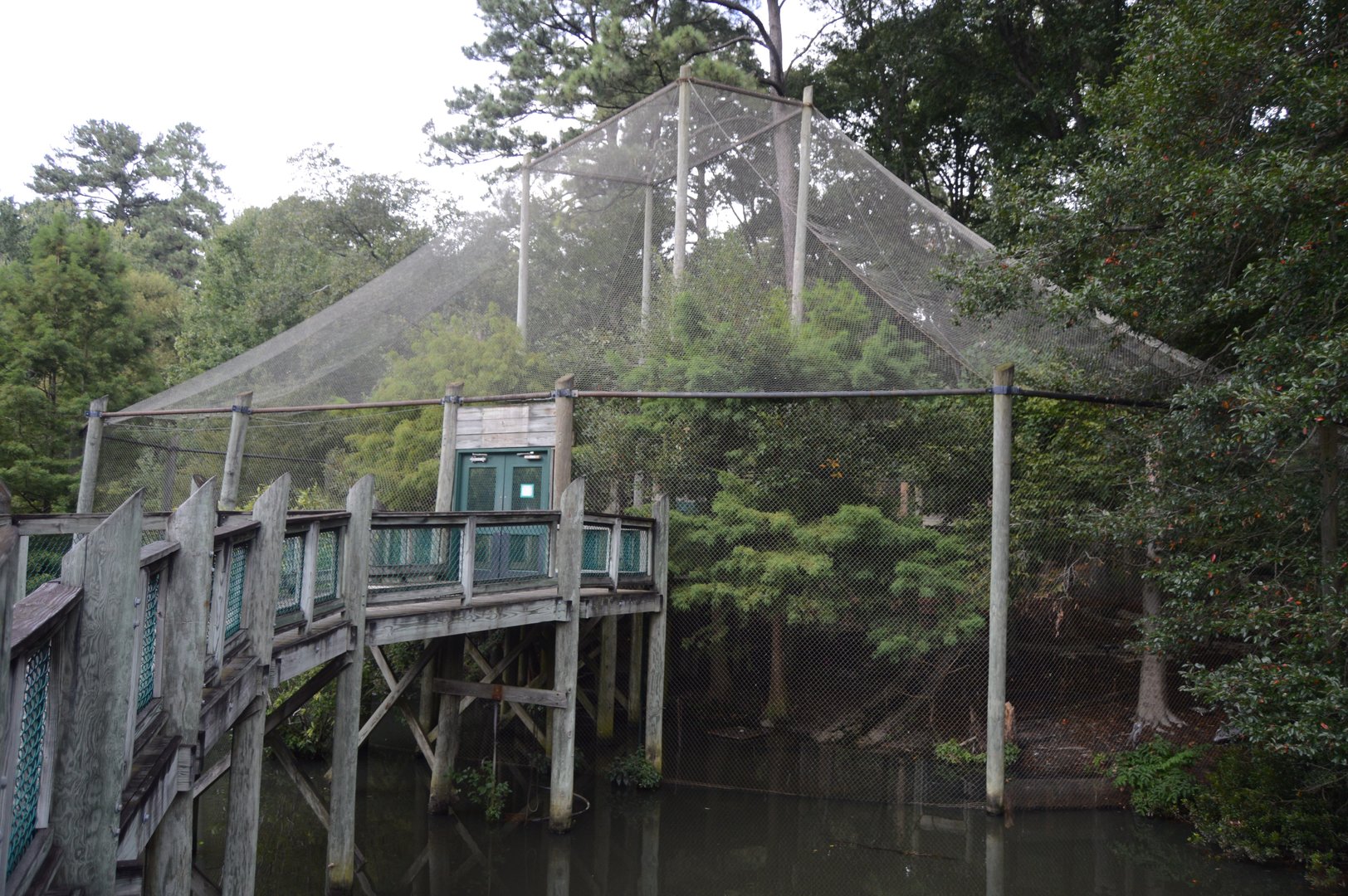Outdoor Trail - Coastal Plain Aviary