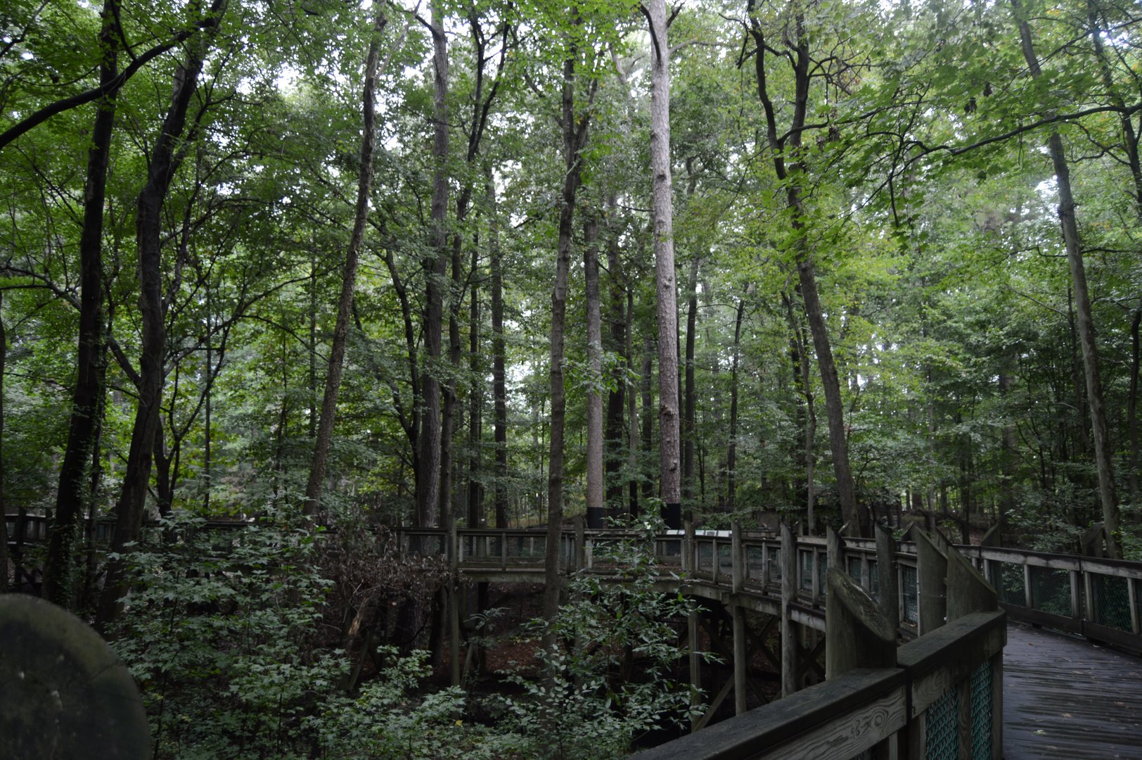 Outdoor Trail - Landscape