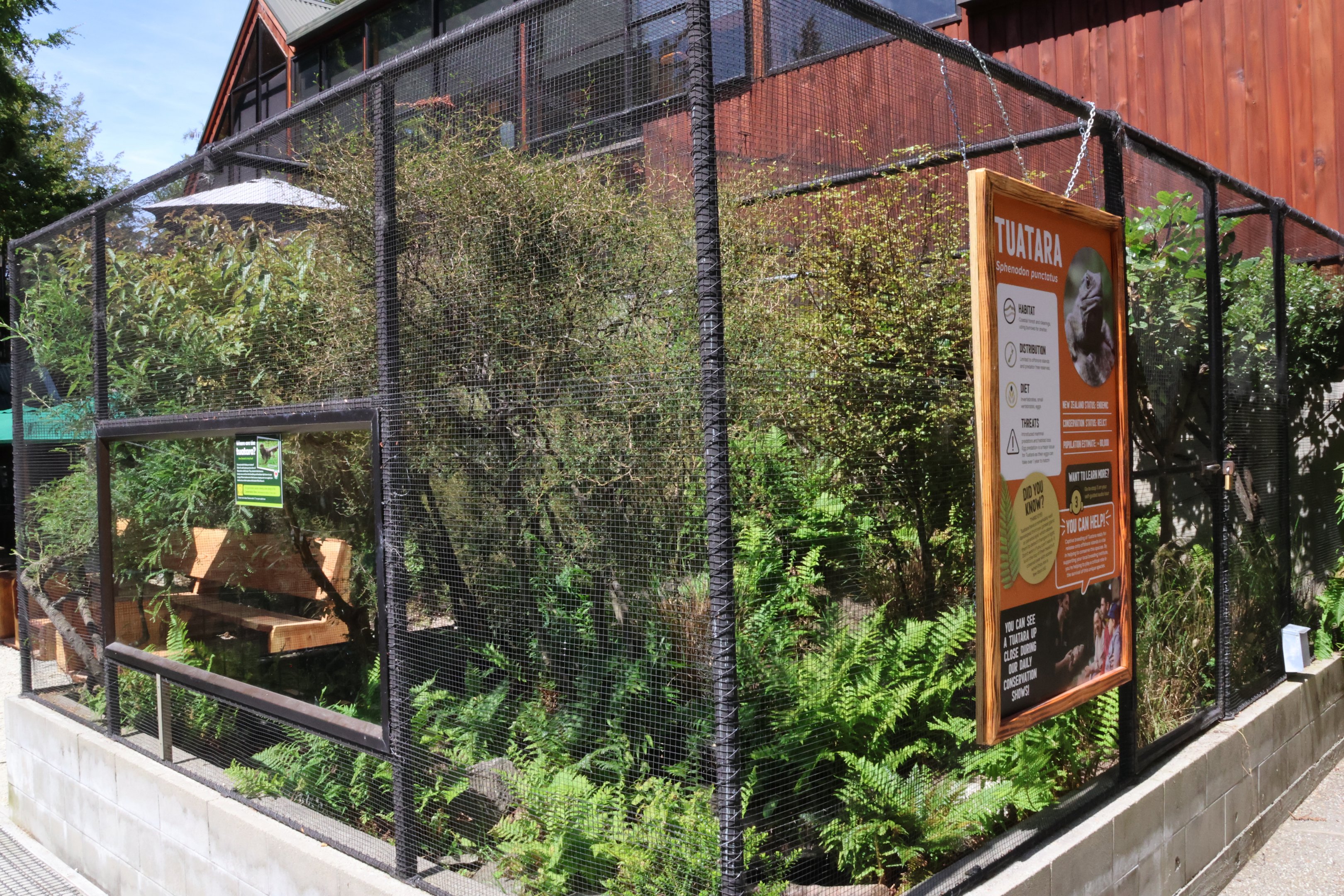 Outdoor Tuatara enclosure