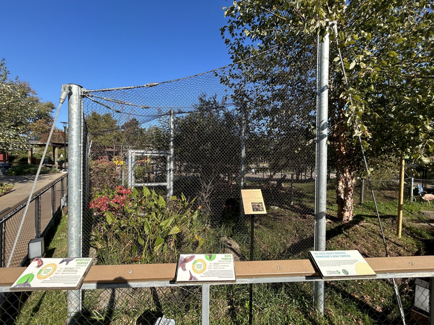 Outdoor Turtle Exhibit (one of several) - ARC