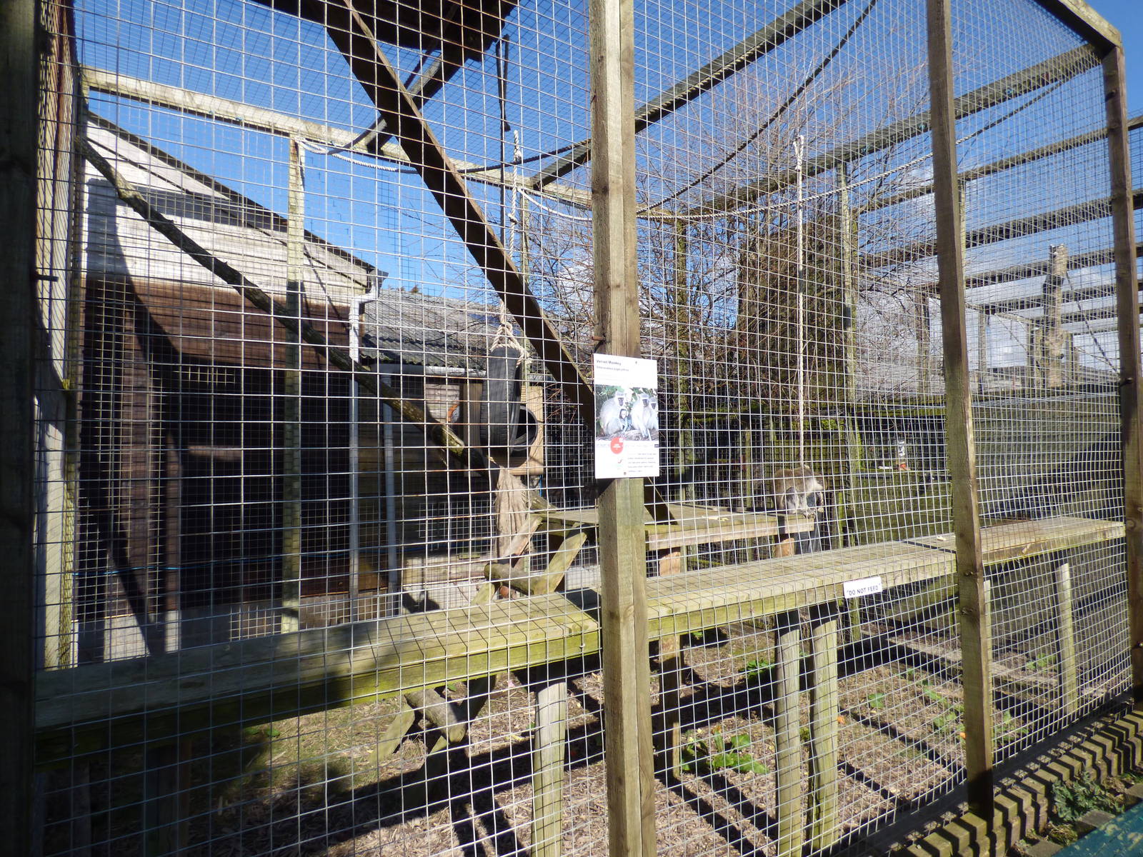 Outdoor Vervet Monkey Enclosure