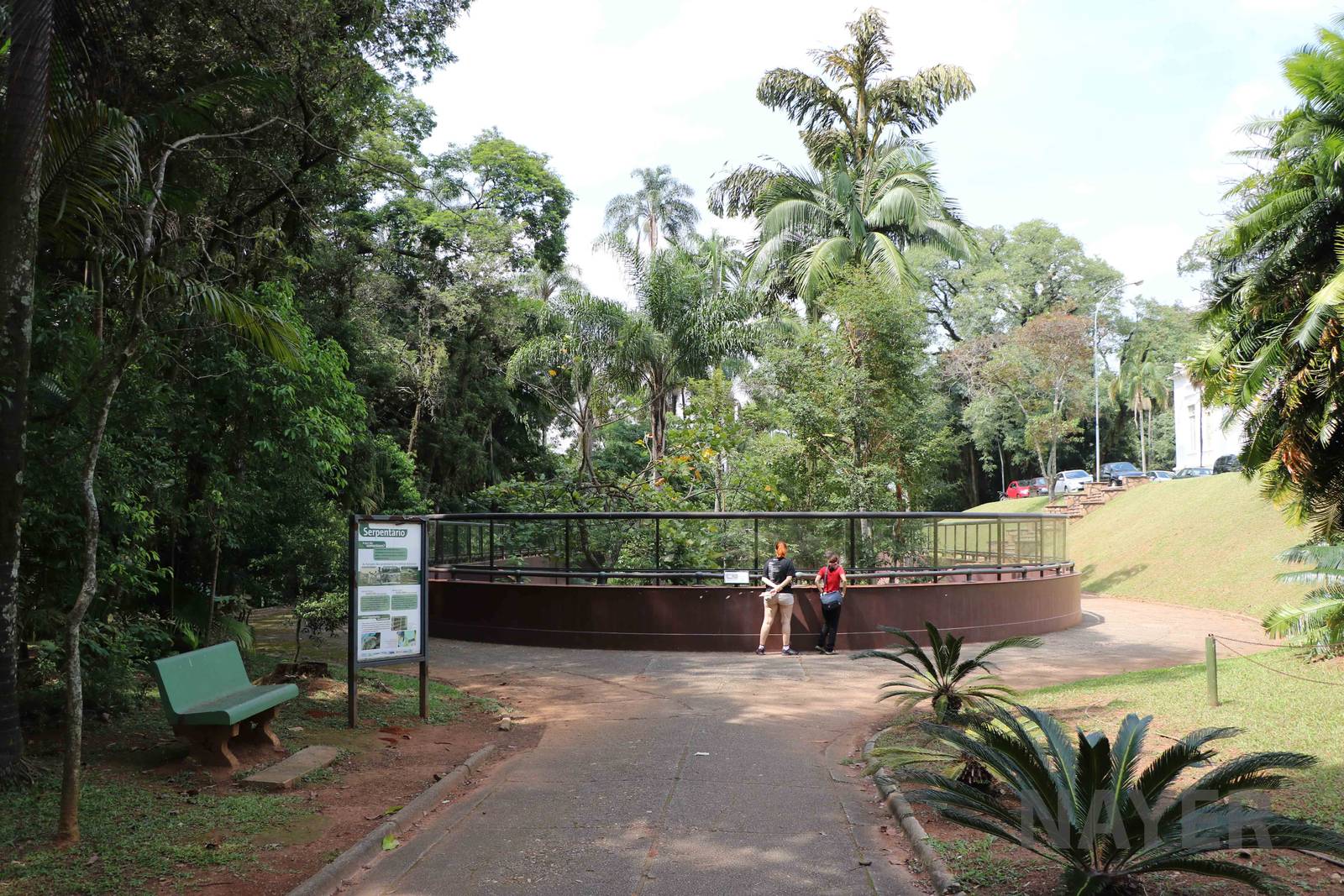 Outdoor view - Instituto Butantan, 2016