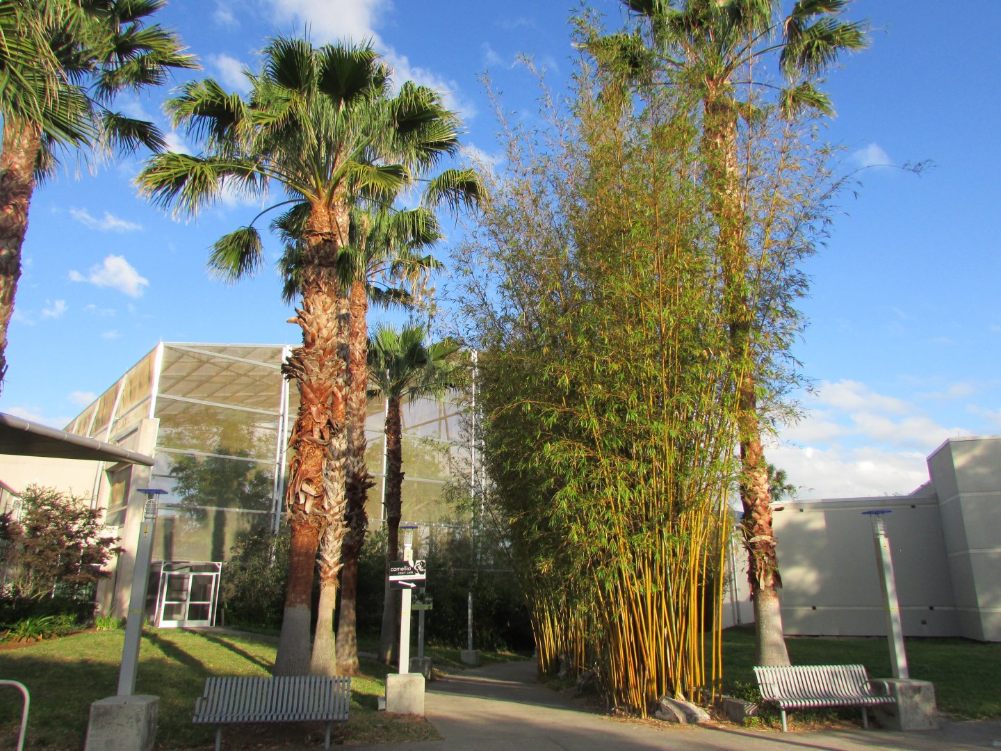 Outdoor View of Butterfly Rainforest