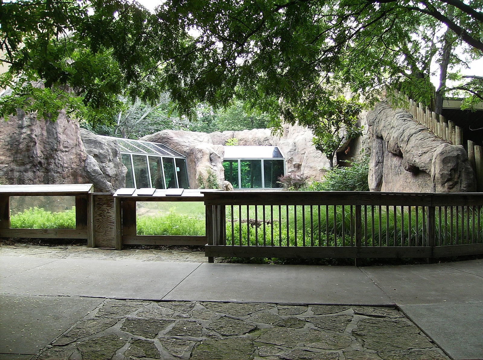 Outdoor View of Gorilla exhibit