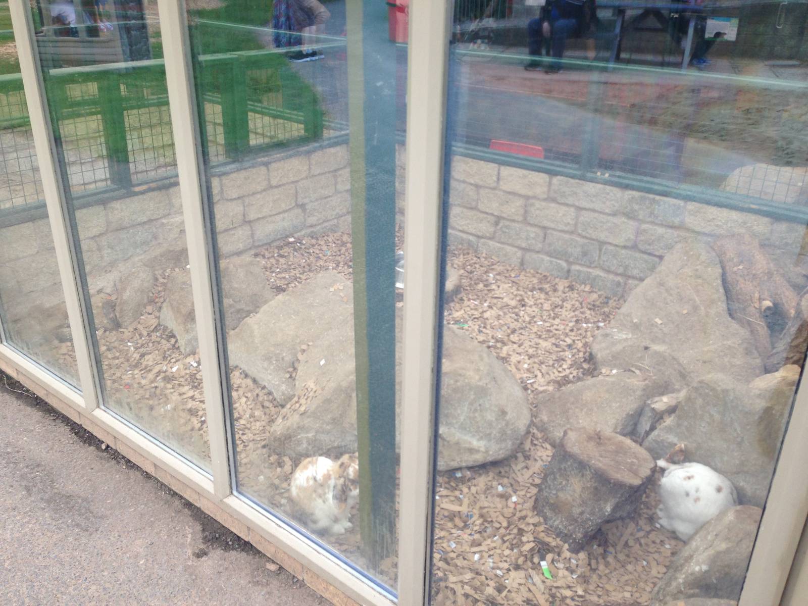 Outdoor View of Rabbit Exhibit at Ponderosa Rural Thereapeutic Centre