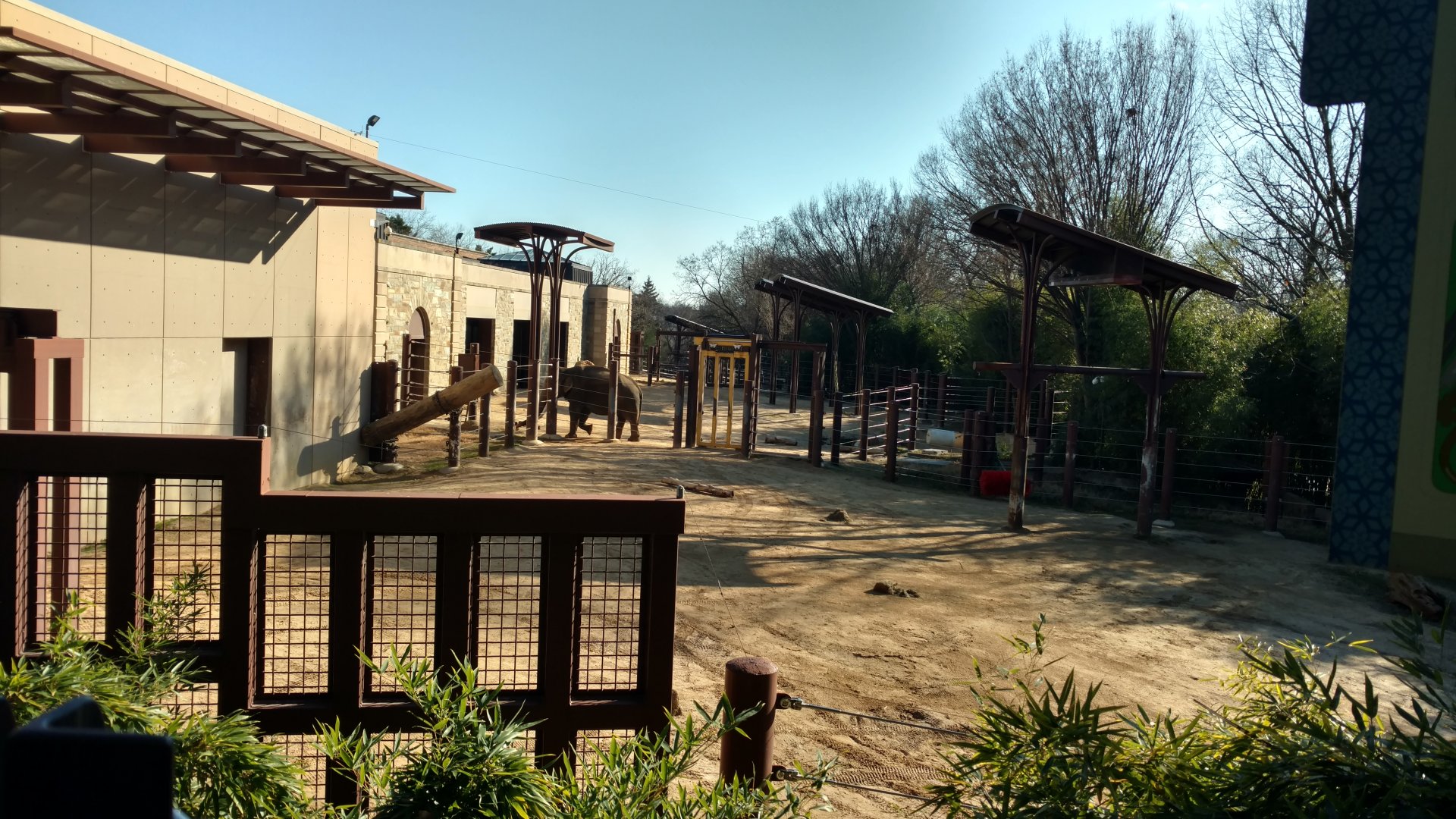 Outdoor Yard of Elephant Trails Exhibit