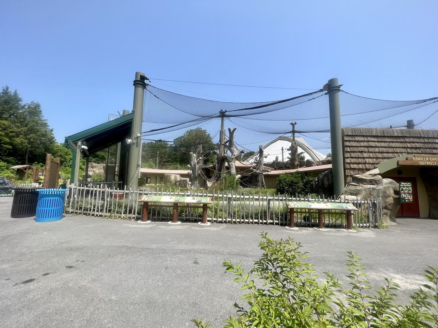 Outdoors Gorilla Exhibit